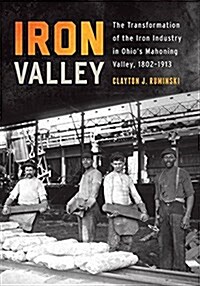 Iron Valley: The Transformation of the Iron Industry in Ohios Mahoning Valley, 1802-1913 (Hardcover)