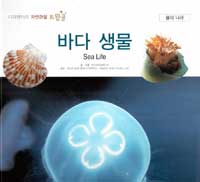 바다 생물=Sea life