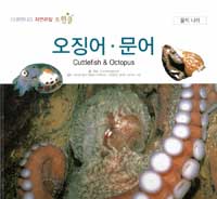 오징어·문어=Cuttlefish & octopus