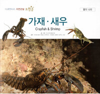 가재·새우 =Crayfish & shrimp 