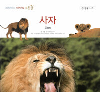 사자=Lion