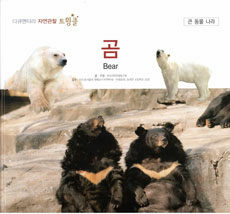 곰=Bear