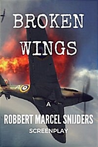 Broken Wings (Paperback)