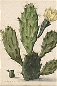 Pear Cactus in Bloom Antique Botanical Art Journal: 150 Page Lined Notebook/Diary (Paperback)