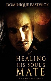 Healing His Souls Mate (Paperback)
