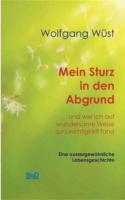 Mein Sturz in Den Abgrund (Paperback)