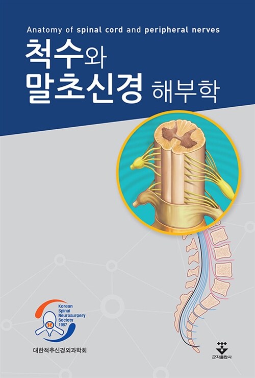 척수와 말초신경 해부학