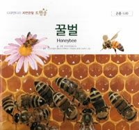 꿀벌=Honeybee