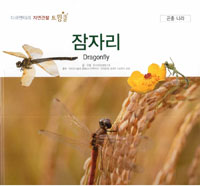 왕잠자리 =Large dragonfly 