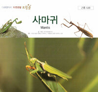 사마귀 =Mantis 