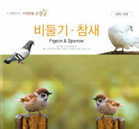 비둘기·참새=Pigeon & sparrow