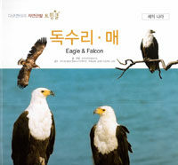 독수리·매=Eagle & falcon
