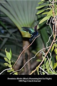 Dominica Birds Black Hummingbird in Flight 100 Page Lined Journal (Paperback)