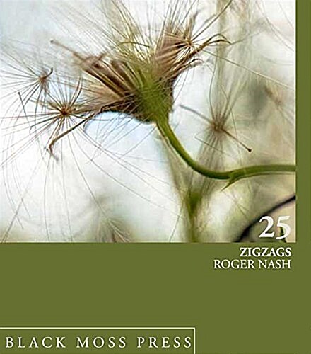 Zigzags (Paperback)