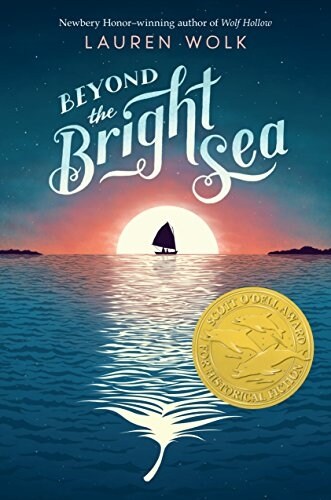 Beyond the Bright Sea (Hardcover)