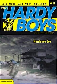 Hurricane Joe (Paperback)