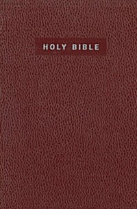 Holy Bible (Paperback)