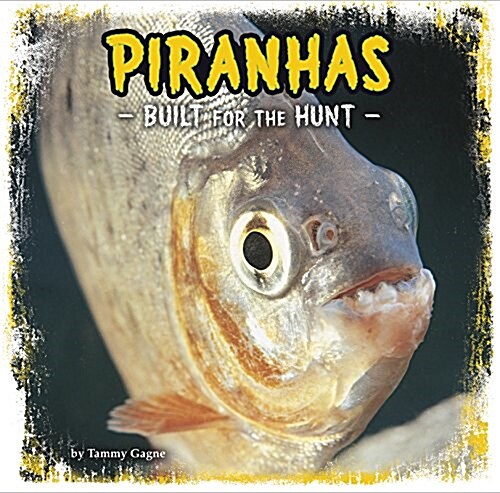 Piranhas : Built for the Hunt (Paperback)