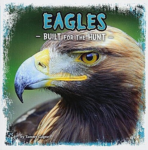 Eagles : Built for the Hunt (Paperback)