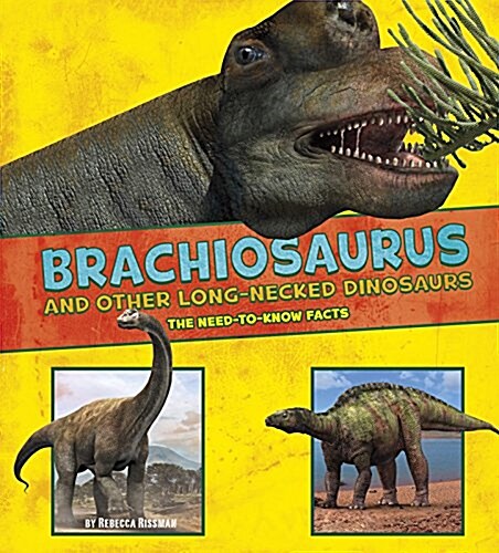 Brachiosaurus and Other Big Long-Necked Dinosaurs : The Need-to-Know Facts (Paperback)