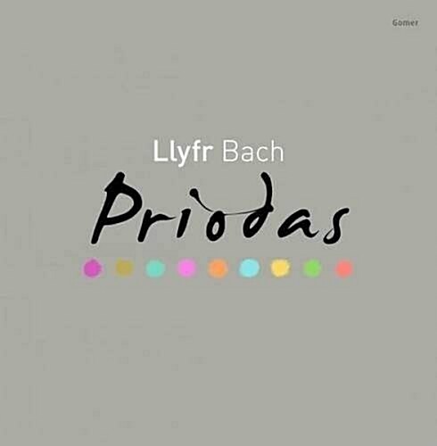 Llyfr Bach Priodas (Paperback)