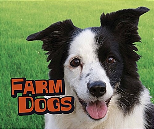FARM DOGS (Paperback)
