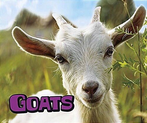 GOATS (Paperback)