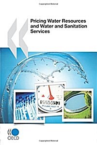 Pricing Water Resources and Water and Sanitation Services (Paperback)