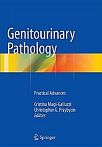 Genitourinary Pathology: Practical Advances (Paperback, Softcover Repri)