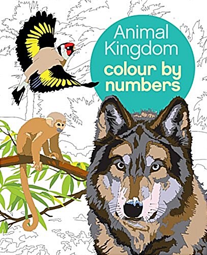 Animal Kingdom Colour by Numbers (Paperback)
