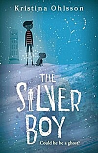 The Silver Boy (Paperback)