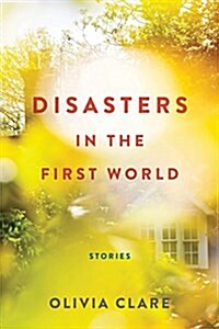 Disasters in the First World: Stories (Paperback)