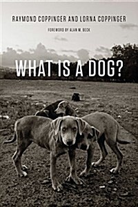 What Is a Dog? (Paperback)