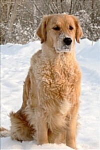 Golden Retriever in the Snow Dog Journal: 150 Page Lined Notebook/Diary (Paperback)