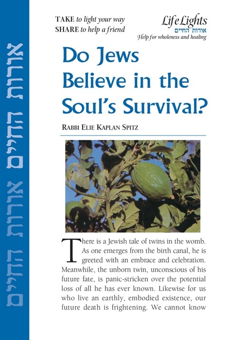 Do Jews Believe in Souls Survival-12 Pk (Paperback)