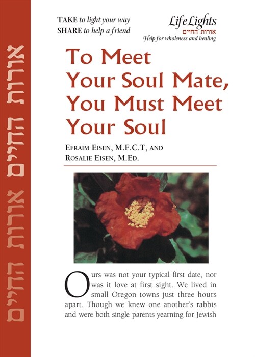 Meet Your Soul Mate, Meet Your Soul-12 Pk (Paperback)