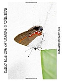 Chasing Butterflies [Line Drawings]: Color the Art of Nature + Wildlife (Paperback)