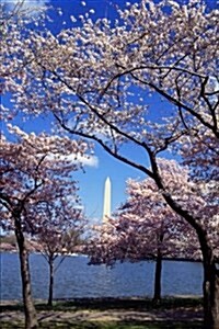 A View of the Washington Monument Through the Cherry Blossoms Journal: 150 Page Lined Notebook/Diary (Paperback)