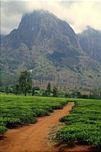 Tea Estate in Malawi Journal: 150 Page Lined Notebook/Diary (Paperback)