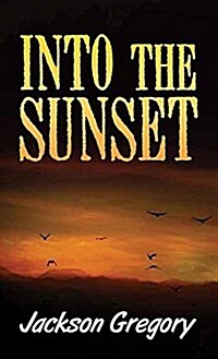 Into the Sunset (Library Binding)