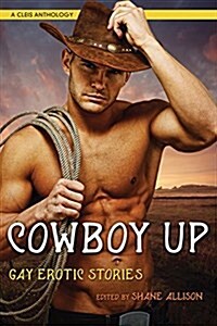 Cowboy Up: Gay Erotic Stories (Paperback)