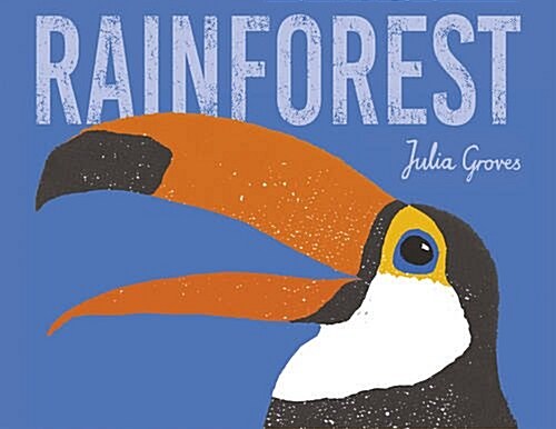 Rainforest (Paperback)