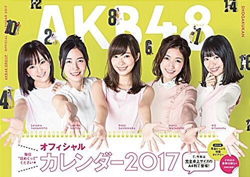 AKB48グル-プ オフィシャルカレンダ- 2017