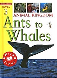 Animal Kingdom (Library)