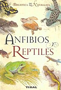 Anfibios y reptiles/ Amphibians and Reptiles (Paperback, Translation, Illustrated)