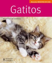 Gatitos / Kittens (Paperback, Illustrated, Translation)