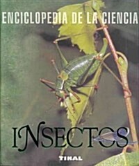 Insectos / Insects (Paperback, Illustrated, Translation)