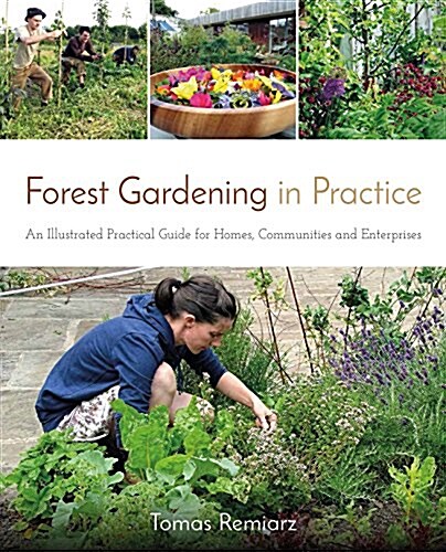 Forest Gardening in Practice: An Illustrated Practical Guide for Homes, Communities and Enterprises (Paperback)