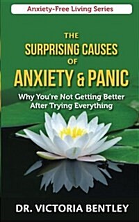 The Surprising Causes of Anxiety & Panic (Paperback)