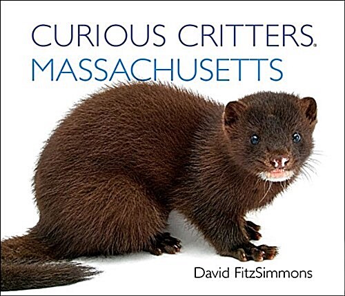 Massachusetts (Board Books)